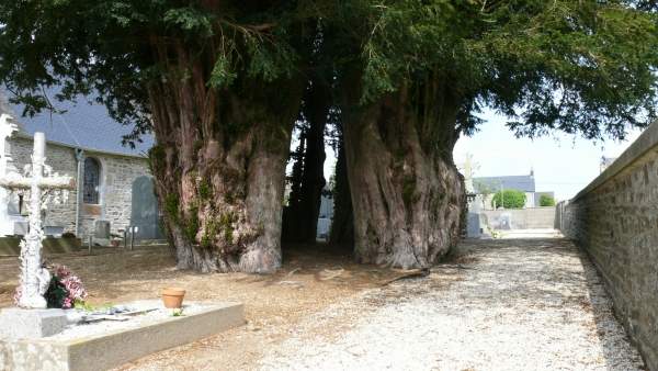 Église Notre Dame de La Nativité (Le Ménil-ciboult)
