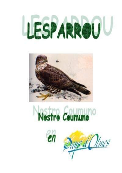 Église Saint Martial D’aiguilhanes