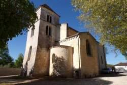 Église Saint-sulpice-de-cognac : Saint-sulpice